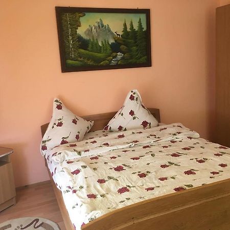 Pensiunea Vasilica Ceterasu Oncesti ภายนอก รูปภาพ